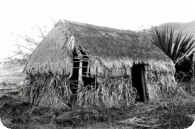 lanai-1920-shack.jpg