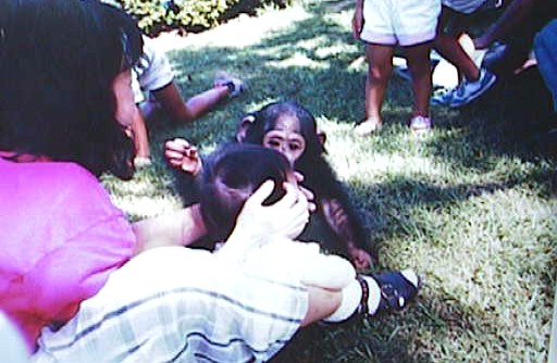 mia-attacked-by-monkey-1972.jpg