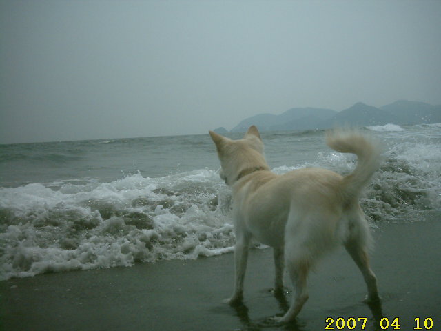 whitey-ahner-taking-in-the-ocean-breeze-nagahama-nobeoka.jpg
